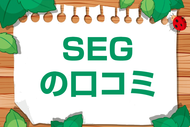 ＳＥＧの口コミ・レビュー